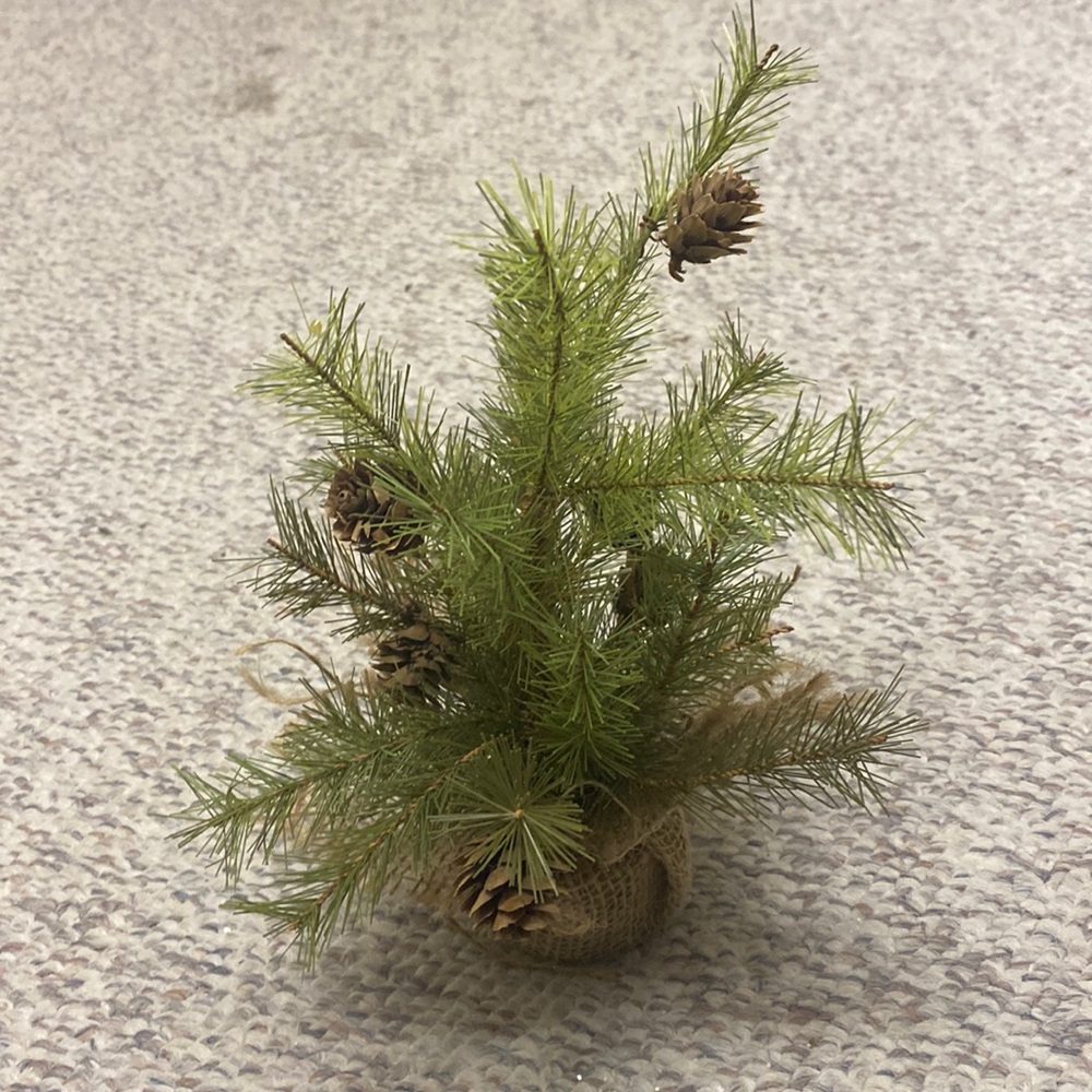 Winter Tree with Pinecones